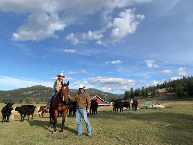 The cattle and meat processing at Montana Better Beef | Western Life ...