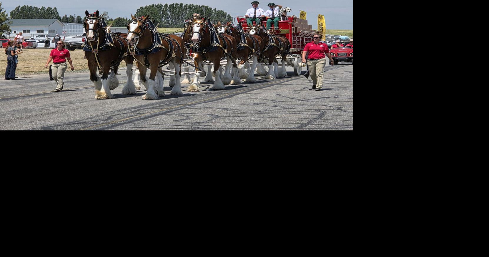 Anheuser-Busch invests $4 million to upgrade Idaho Falls operations