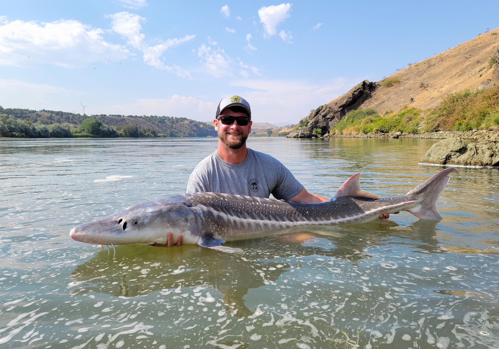 Giant sturgeon 2024