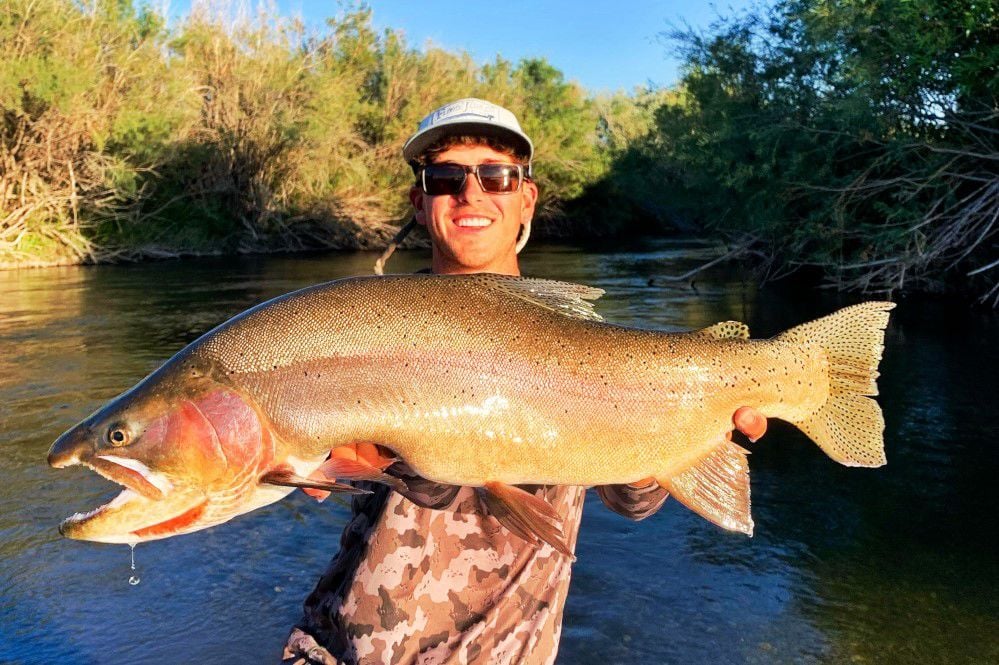 2020's 5 biggest fish stories: The year was among the best for state record entries - Vimarsana News