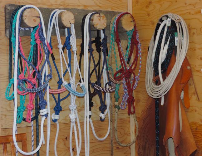 Making custom halters launches Hollyn Patterson on a wild ride