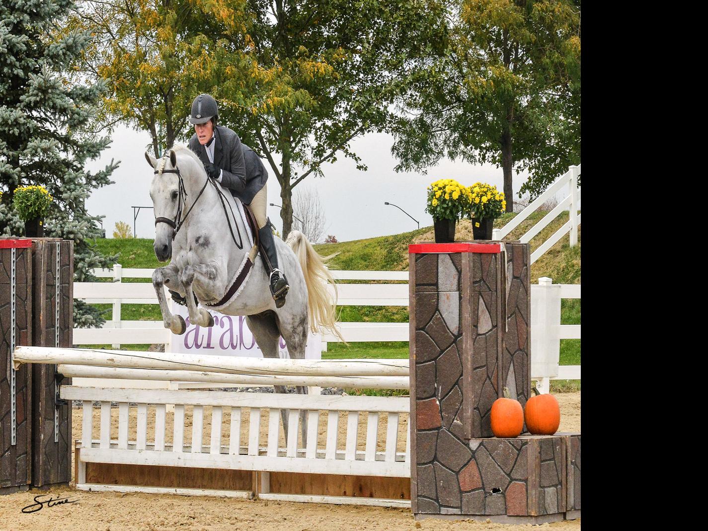 Arabian Horses Make Their Way To Nampa Farm Ranch Postregister Com