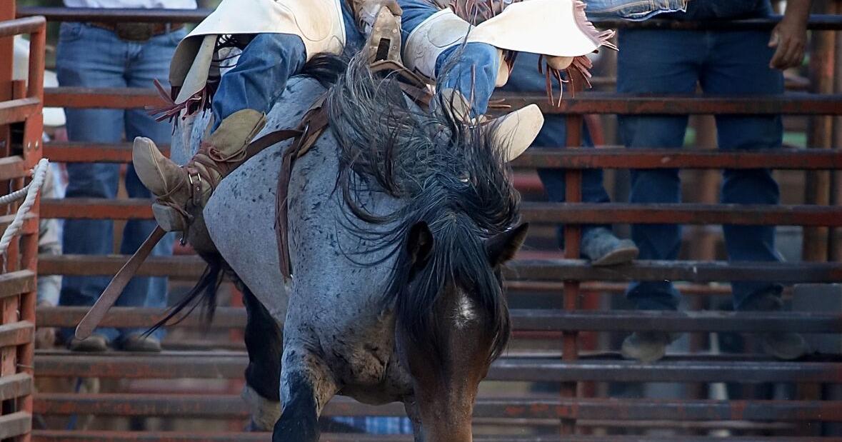 The fair up there: West Jeff County rodeo turns 78
