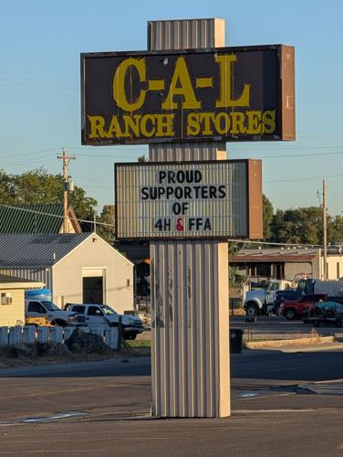 Local business supports 4-H; CAL-Ranch salutes 4-H kids | Farm & Ranch ...