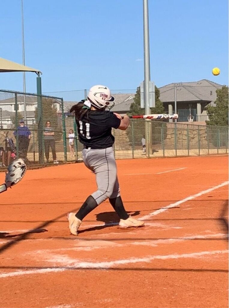 HIGH SCHOOL SOFTBALL All-area teams Postregister postregister