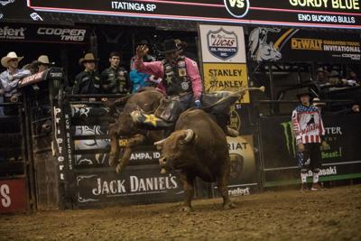 Bull Riding Delta Center Professional Bull Riders to show off this weekend at Ford Idaho Center ...