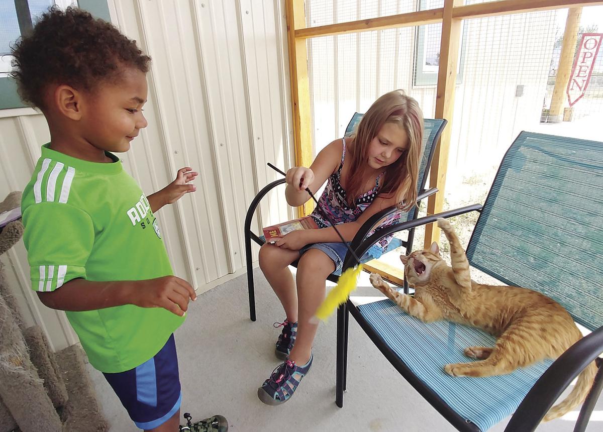 When Children Read To Animals Both Benefit News Postregister Com