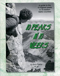 e-book for sale