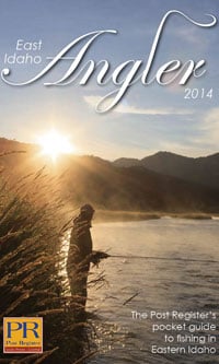 e-book for sale