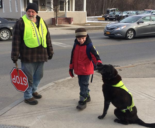 do dogs know how do you cross the street