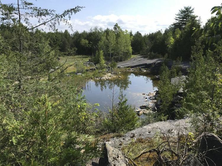 Essex Quarry Nature Park to preserve 400 millionyearold fossils
