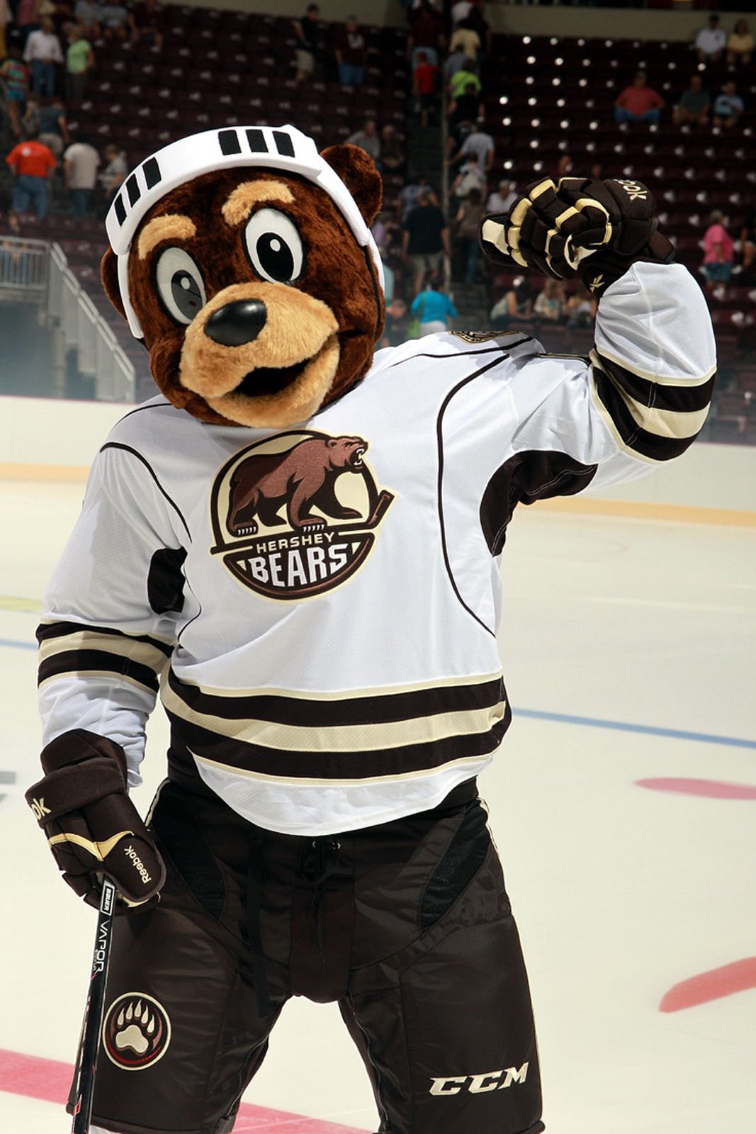 AHL Mascots | Local | Poststar.com