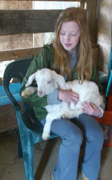 Washington County Fiber Farm Tour Shows Its Softer Side