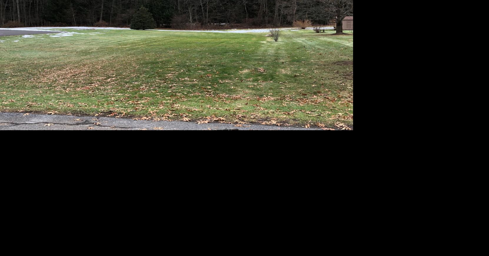 Queensbury to be removed from neighbors' lawsuit