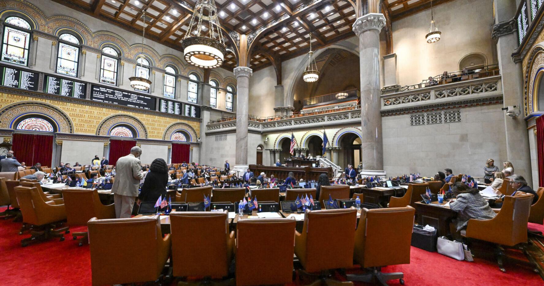 State Assembly headed back next week to discuss short-term rentals, elder parole - Vimarsana News
