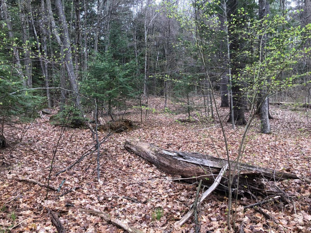 Police identify remains from Lake death cause unknown