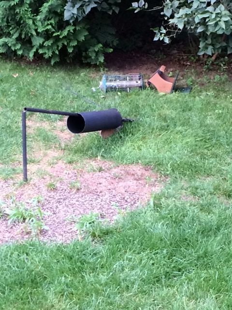 Blog Time To Take The Bird Feeders Down Or Risk A Fine