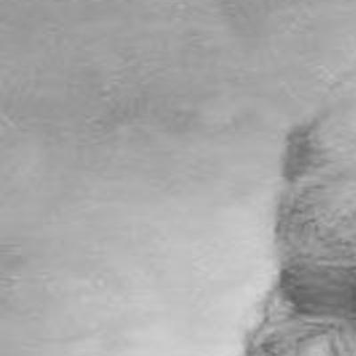 Patricia Steeves O Donnell Obituaries Poststar Com