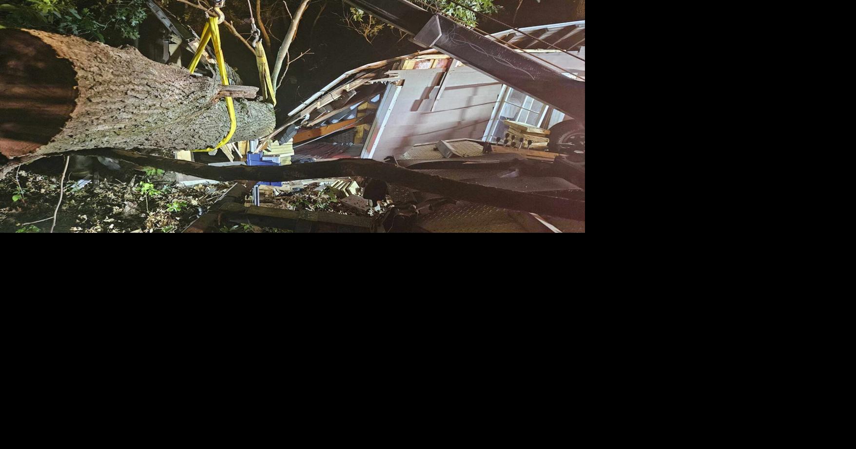 Tree destroys cabin at Michigan camp, traps counselor in bed