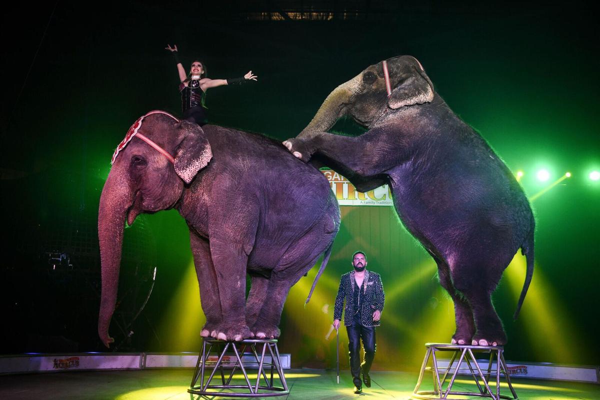 Garden Bros Circus Plans Return To Glens Falls Local Poststar Com