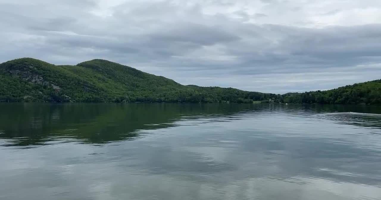 Lake George: Activist website fights herbicide use - Vimarsana News