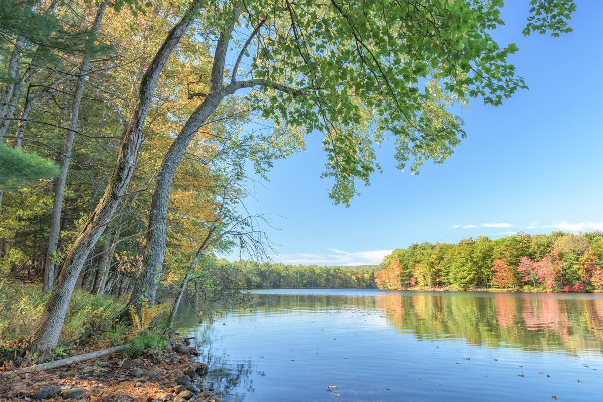 Smith Farm property