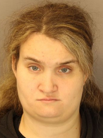 Glens Falls woman charged with welfare fraud