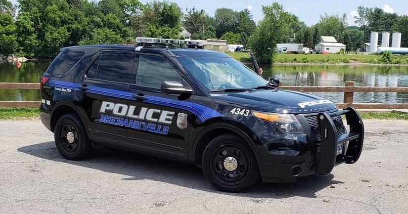Police warn of fox who attacked woman in Saratoga County
