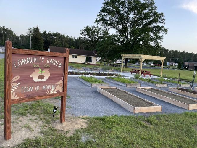 community garden by Alex 1.jpg