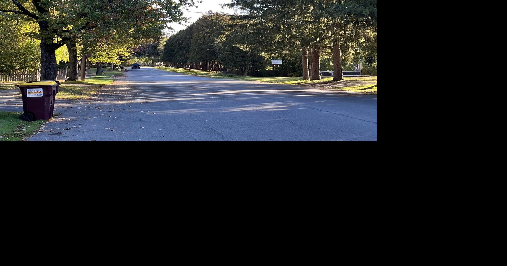 No decision on ster Avenue bike lanes