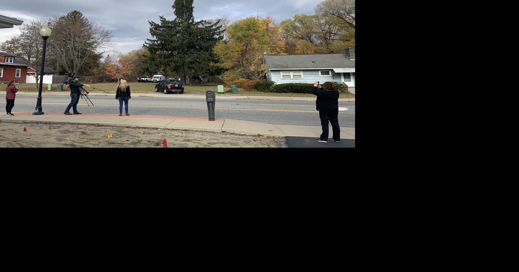 Queensbury tree chosen for Rockefeller Center display