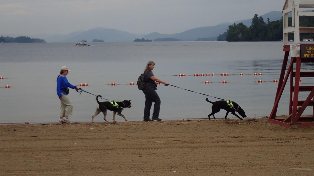 Dog-sniffing