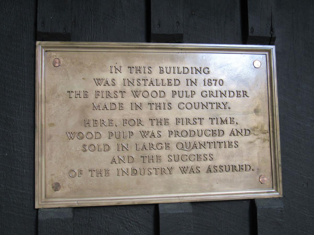 Pulp plaque