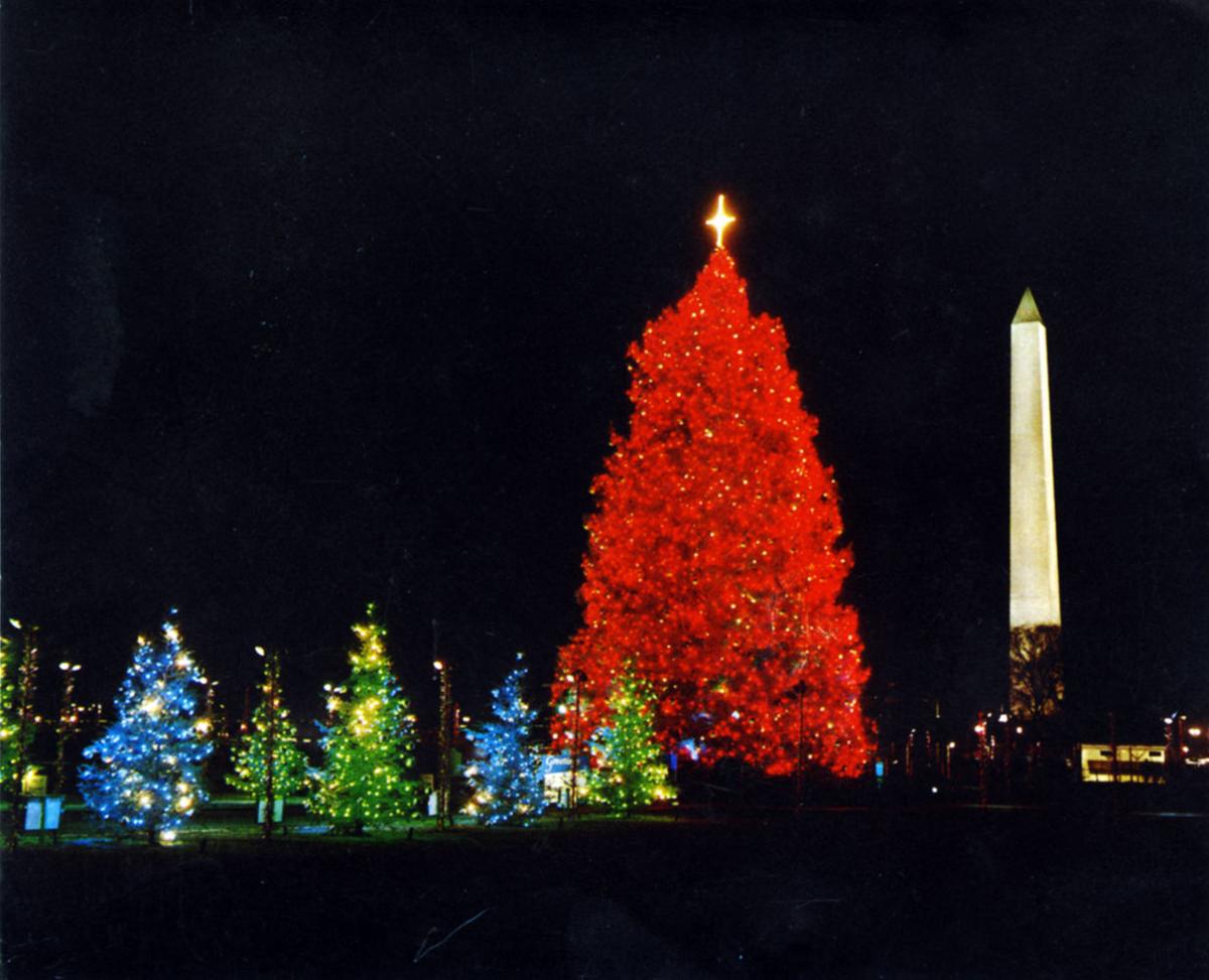 In 1964, a tree from Chester went to Washington Local