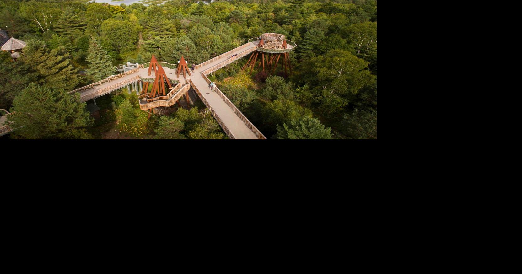 The Wild Center nominated for ‘Best Science Museum’ for fourth year