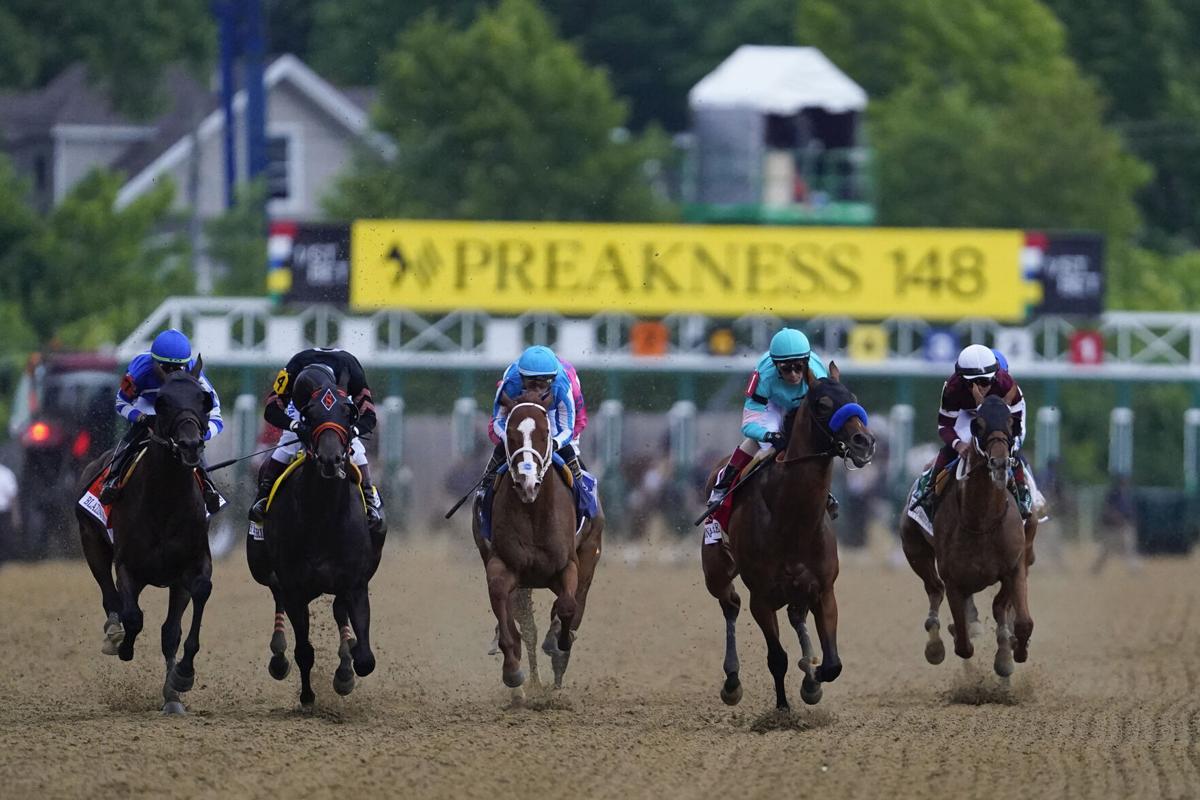 Preakness Stakes long shots Dark horses and sleeper picks