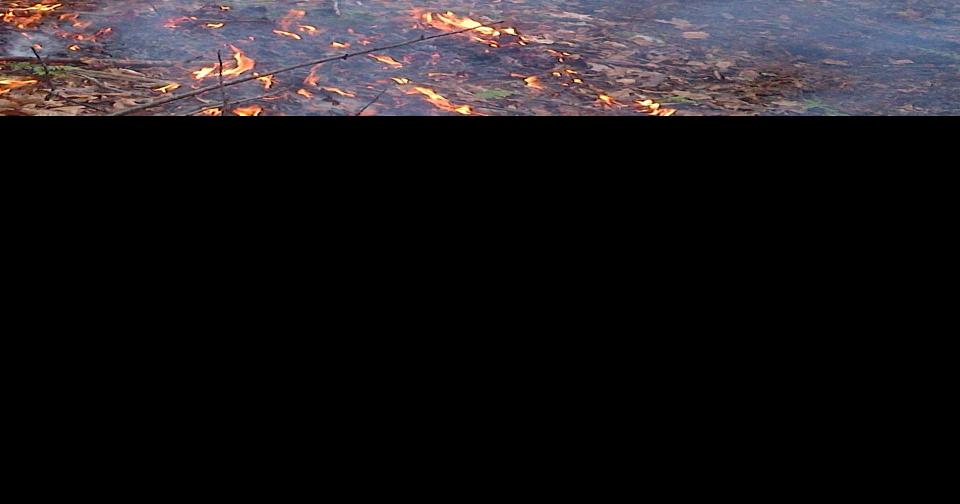 Warren County forest fire contained