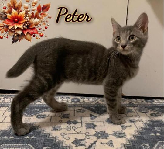 Peter