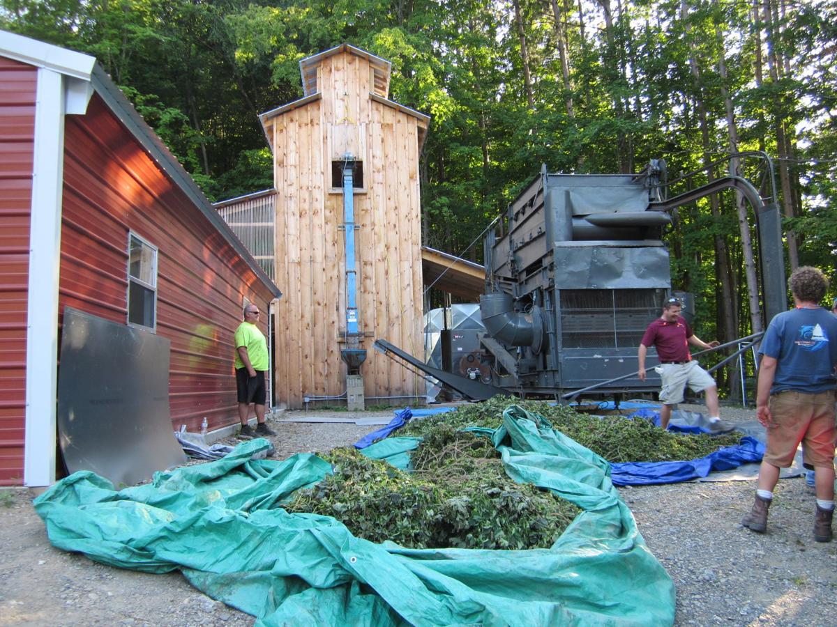 In a dry town, friends build hopsbased business Local