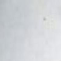 Dec Confirms Wild Mountain Lion In Lake George Blotter Poststar Com