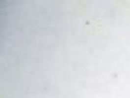 Dec Confirms Wild Mountain Lion In Lake George Blotter Poststar Com Blader door de 62 lion footprint beschikbare stockfoto's en beelden, of begin een nieuwe zoekopdracht om meer stockfoto's en. dec confirms wild mountain lion in lake