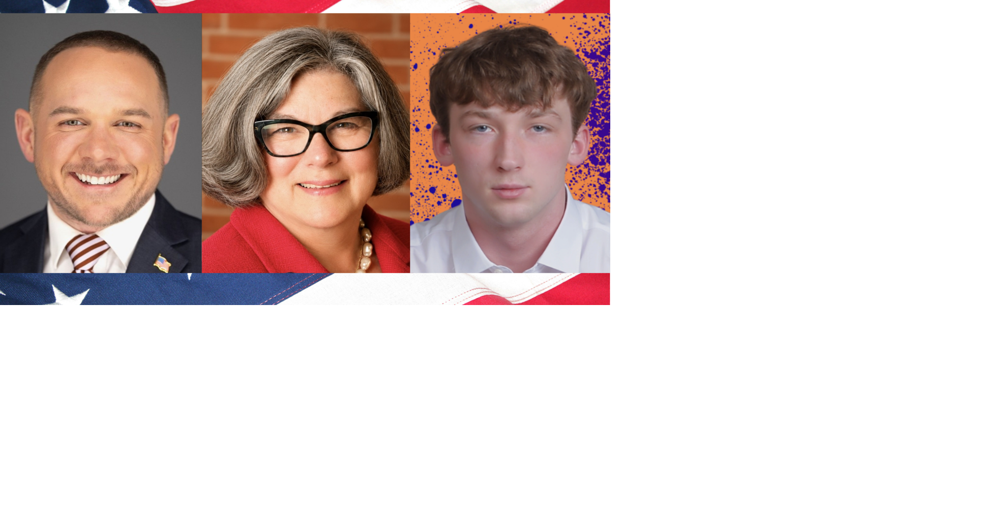 Three on the ballot for District 113 race