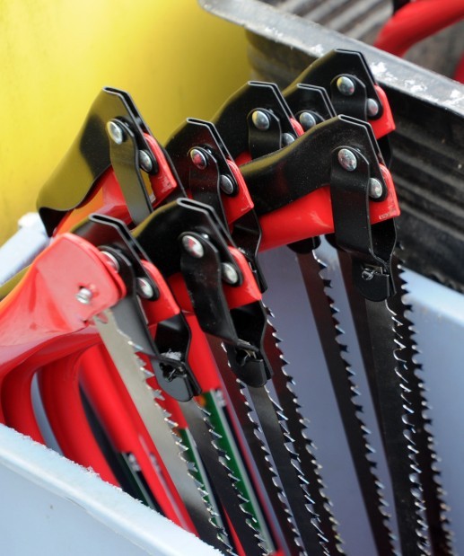 Christmas tree buyers out in force Local