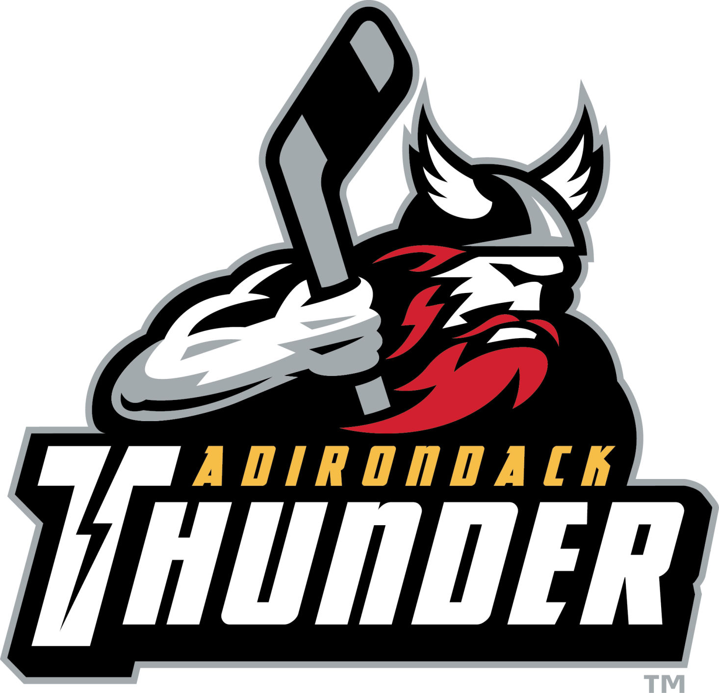 Calgary Names ECHL Team Adirondack Thunder | Adirondack Thunder ...