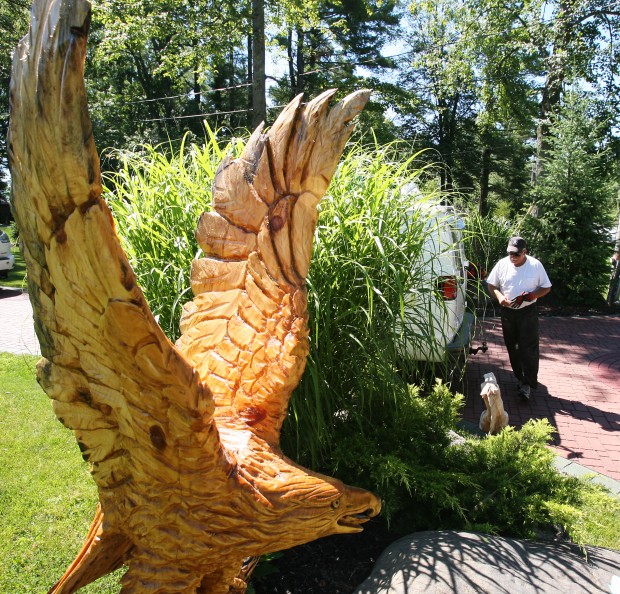 Wood sculptor transforms 13foot white pine tree stump Photo