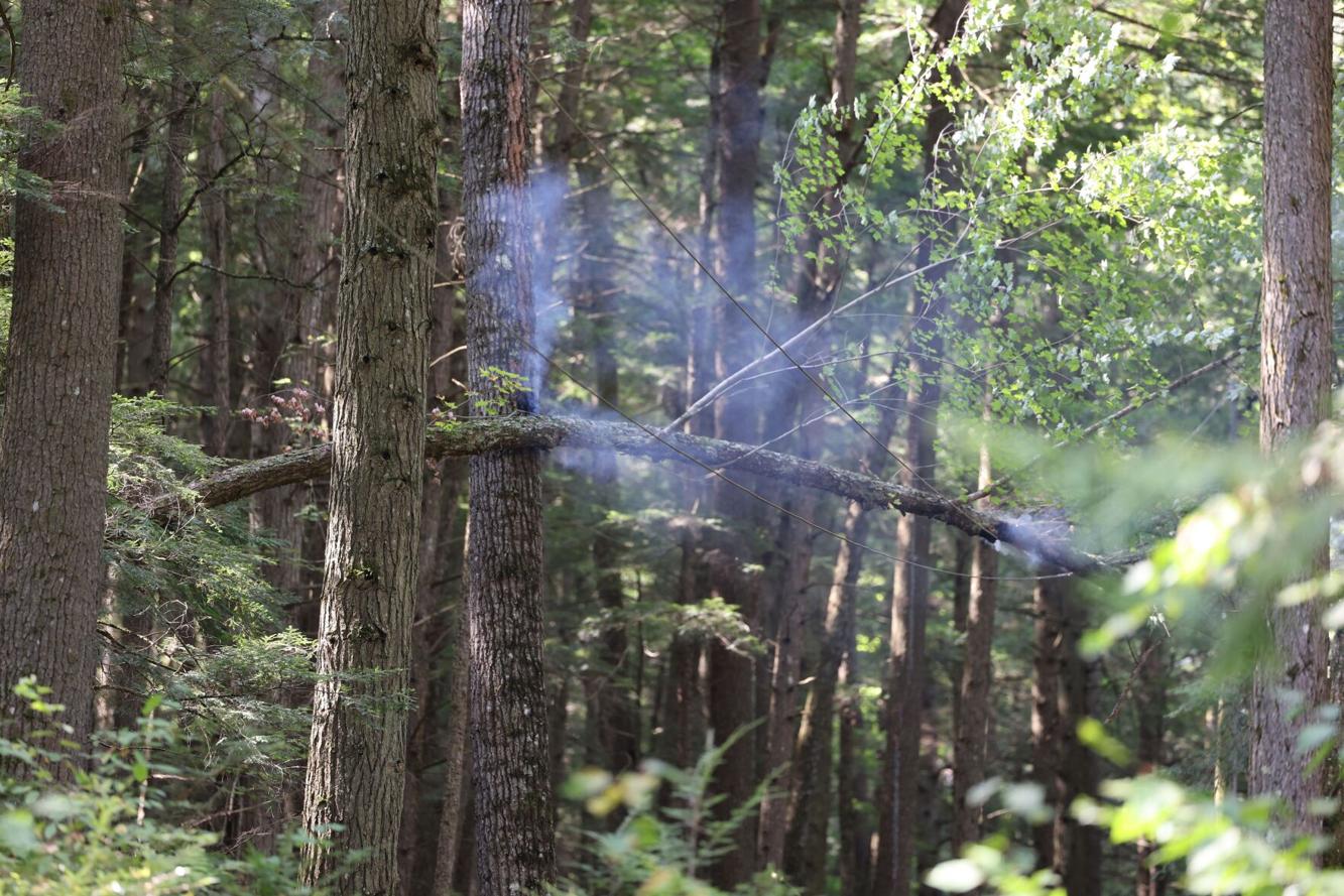 Fort Ann firefighters prevent forest fire