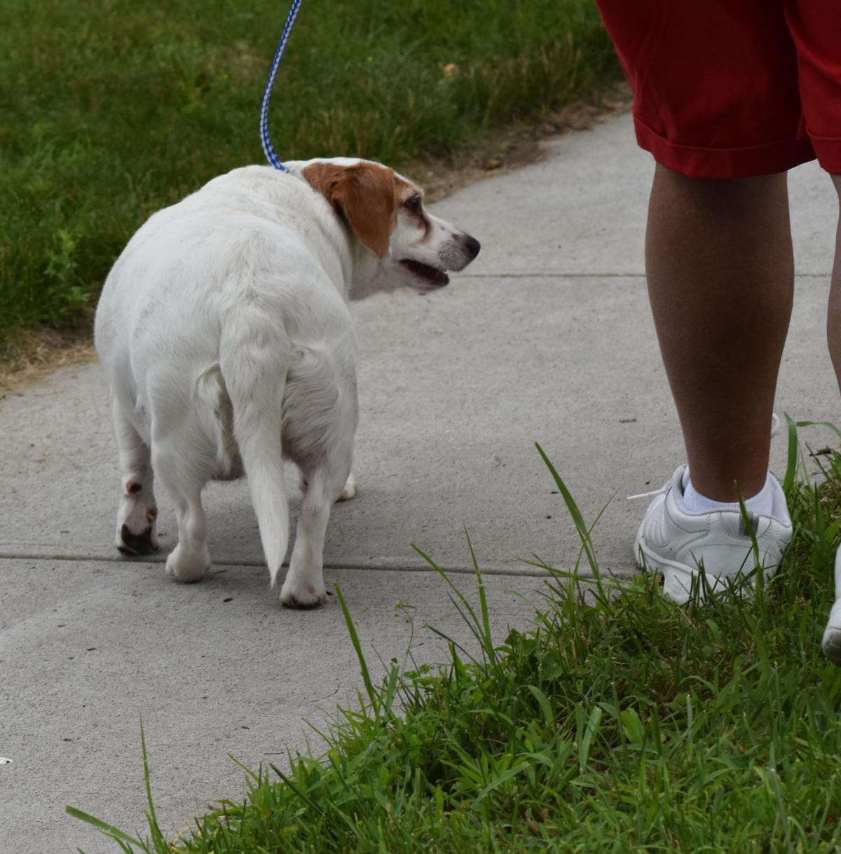 UPDATED Two injured in South Glens Falls blaze Local