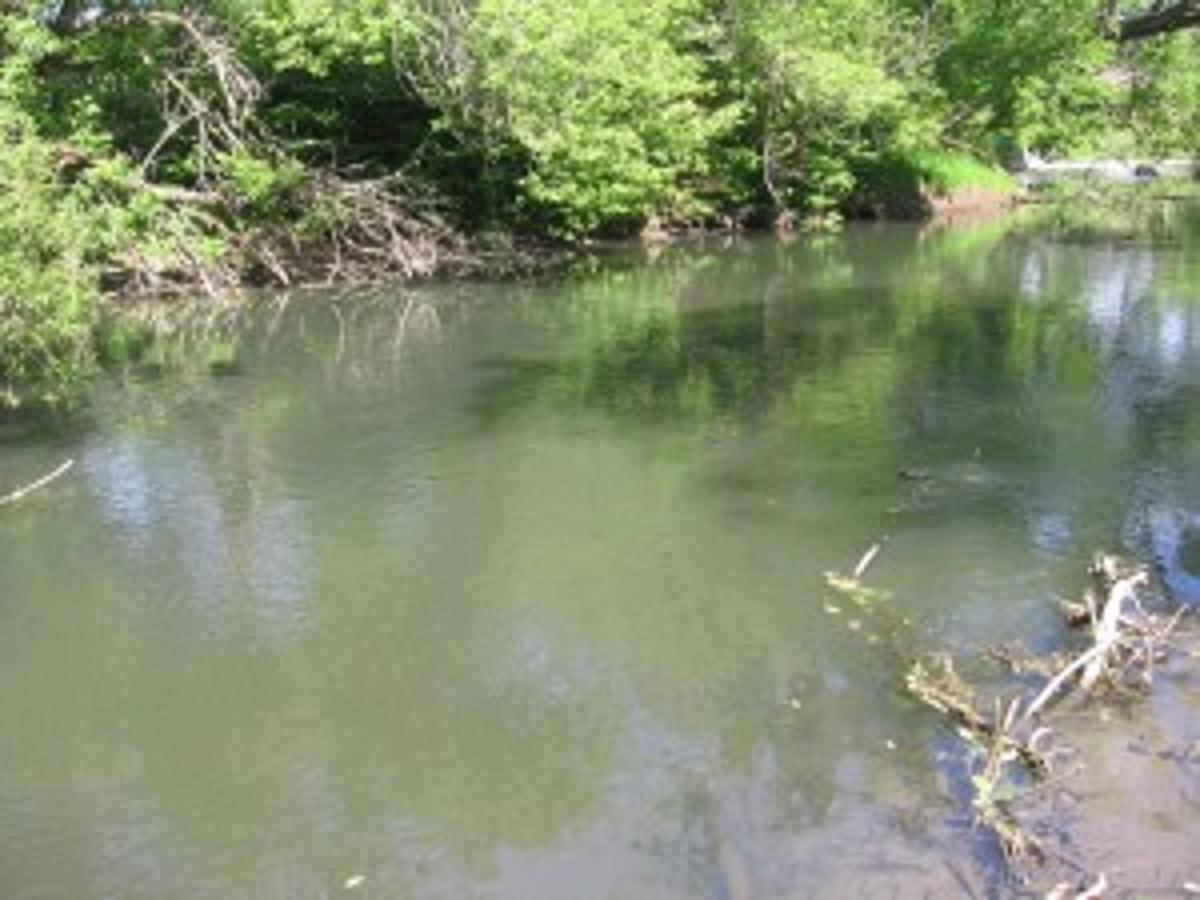Something S Going On In Granville S Mettawee River Don Lehman Poststar Com