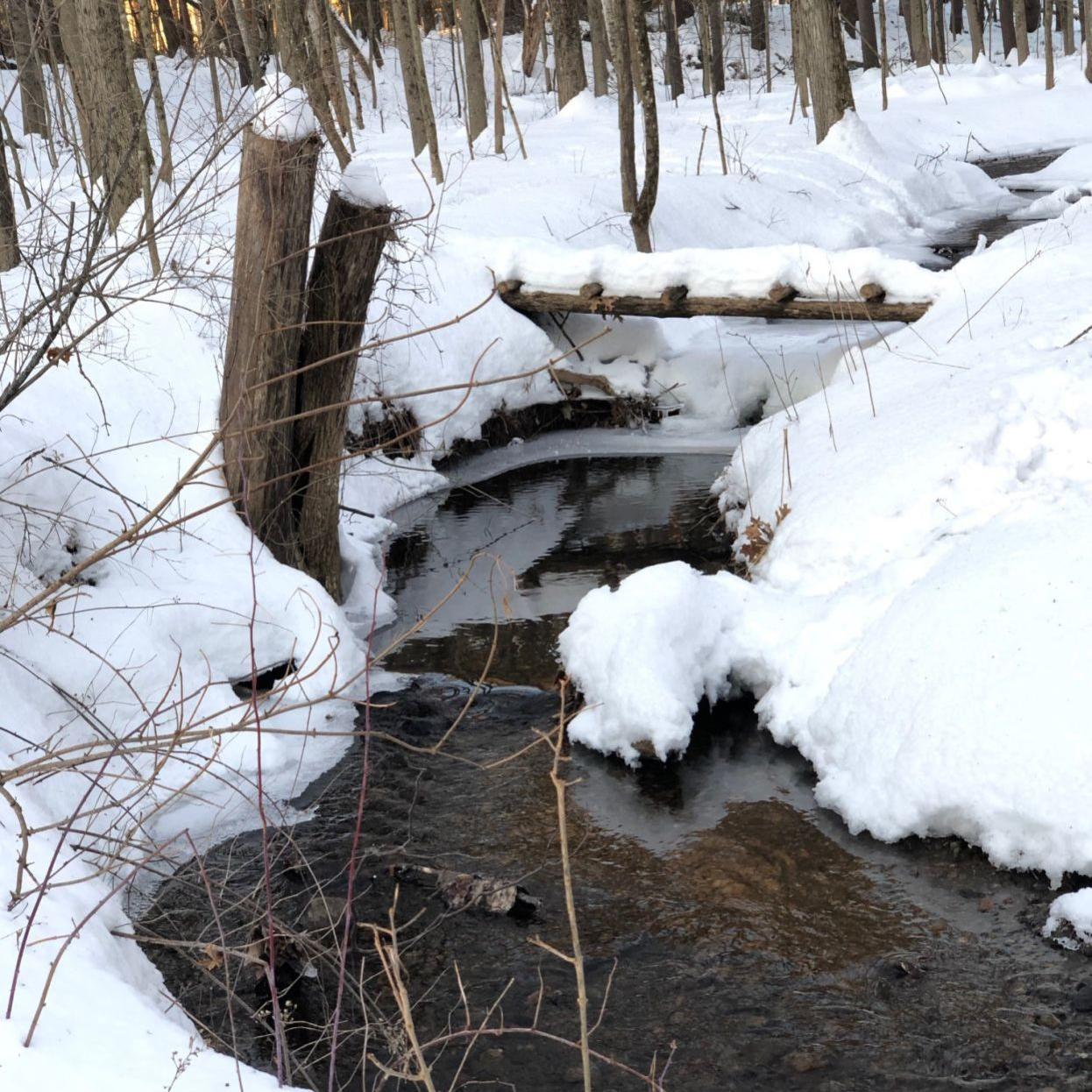 Power Crews Battle Winds Outages Across The Region Local Poststar Com