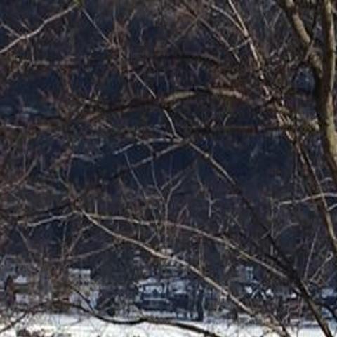 Lake George Winter Carnival Rolls Into Last Weekend Local